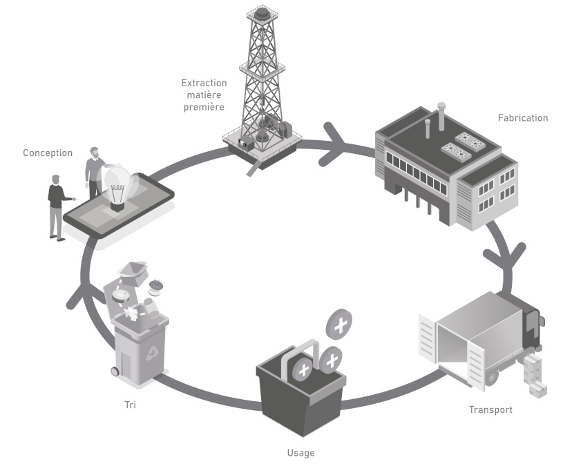 Life cycle